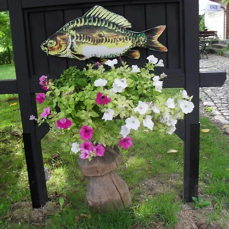 Otel Fischerhof *