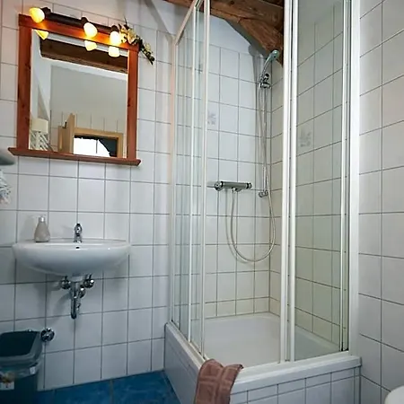 Otel Fischerhof *