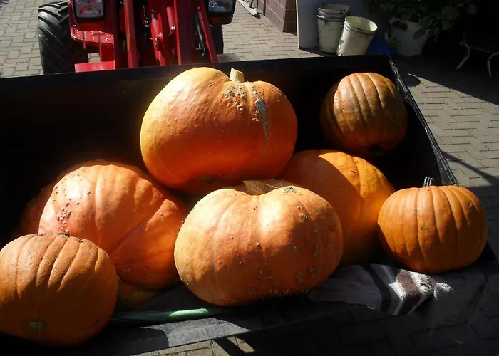 Fischerhof Crimmitschau